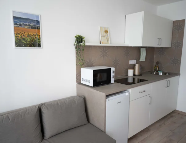 floratrio_apartman_sunflower_kitchen_2_1600x1067